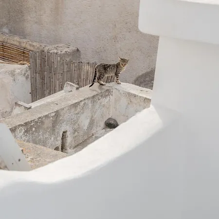 Yposkafon Concept Two-bedroom With Private Jacuzzi And Hamam *